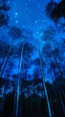 Obraz premium Forest under starry night sky.