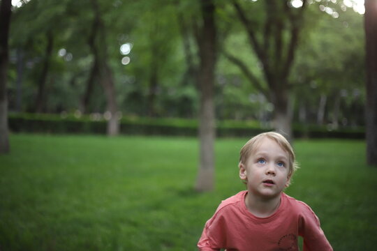 little boy in the park