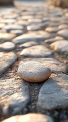 A stone on an ancient stone path in Israel. A solitary stone with marked textures and historical details.