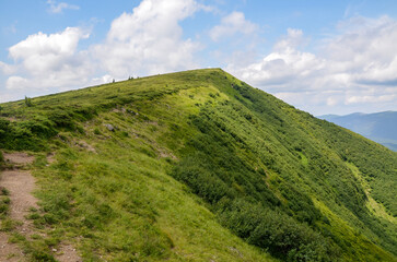 Fototapeta premium Panoramic view of lush green mountain ridge covered in dense vegetation stretch under sky filled with clouds. Perfect for travel, nature, and landscape concepts. Svydovets, Carpathian Mountains