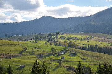 Lush green fields spreading across a serene rural area with a peaceful village nestling amidst...