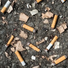 Close-Up View of Used Cigarette Butts Littered on Asphalt Alongside Torn Paper and Organic Debris in an Urban Environment