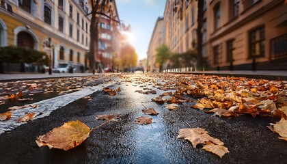 City street filled with fallen leaves and buildings in the background.
