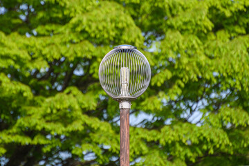 公園にあるled製の外灯