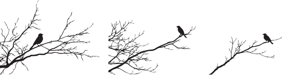 Silhouette of a bird perched on a tree branch vector silhouette
