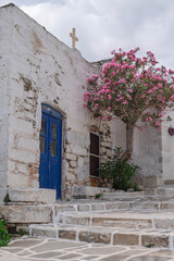 Oleander