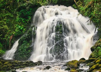 Obraz premium A cascading waterfall flows gracefully over moss-covered rocks, surrounded by lush green foliage. The serene scene captures the beauty of nature in a secluded forest setting. Near Ketchikan, Alaska.