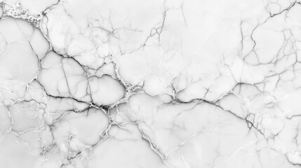 Polished White Marble Surface, Showcasing the Depth and Complexity of Veining