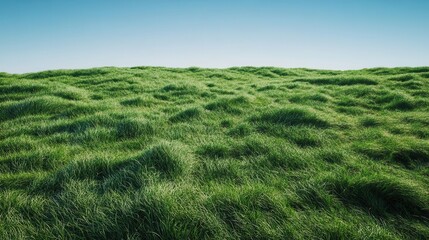 Obraz premium Lush Verdant Meadow Under a Clear Blue Sky, Radiating the Fresh Essence of Nature in a Serene and Inviting Rural Landscape for Premium Stock Imagery