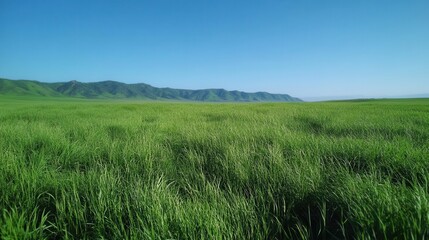 Lush Verdant Meadow Under a Clear Blue Sky, Radiating the Fresh Essence of Nature in a Serene and Inviting Rural Landscape for Premium Stock Imagery