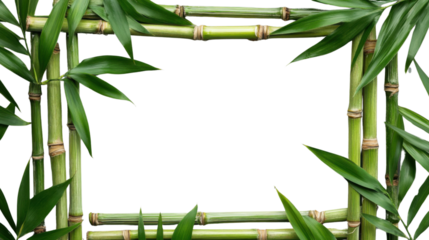 Rectangular frame made of fresh green bamboo stalks and leaves with transparent background