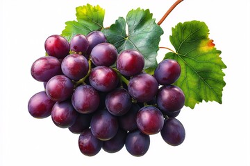 Fototapeta premium Organic Grapes in Vineyard: Fresh, Sweet, and Healthy Snack for Wine & Juice - A Nutrition Powerhouse with Antioxidants & Vitamins