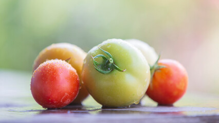 Tomatoes with water drops on a gray background