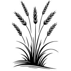 Silhouette of the grass