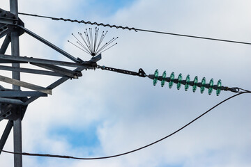 Bird protection and glass insulators on a power transmission line pole
