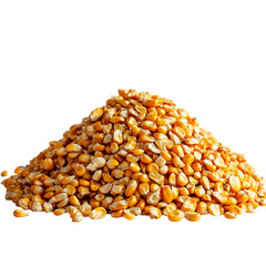 Pile of Freshly Harvested Corn Kernels Isolated on Transparent Background