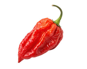 Ghost pepper, isolated on a white transparent background, high-quality cutout with vibrant red color and detailed texture, perfect for food design, culinary projects, or spice packaging needs