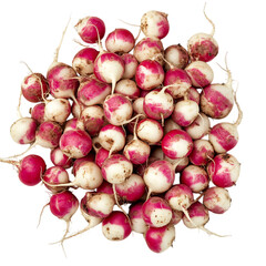 A Pile of Fresh Radishes with Small Round Bulbs Isolated on Transparent Background