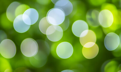 Obraz premium Abstract green bokeh background; bright, out-of-focus circles; nature backdrop; vibrant, spring-like; soft, dreamy; perfect for design.