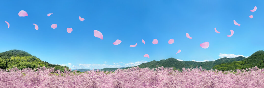 春景色」の写真素材 | 22,434件の無料イラスト画像 | Adobe Stock