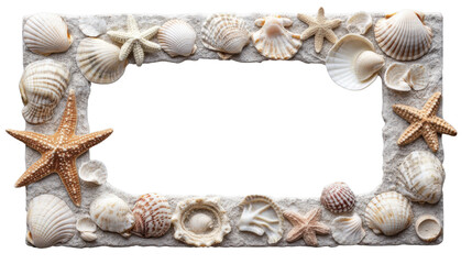 Obraz premium Seashells and starfishes forming a frame on transparent background