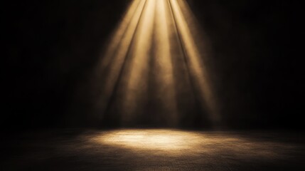 Golden spotlight shining down from above, illuminating a dark smoky background. A moody and elegant composition with ample copy space.