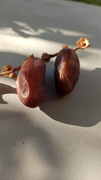 the dates fruit ready to eat