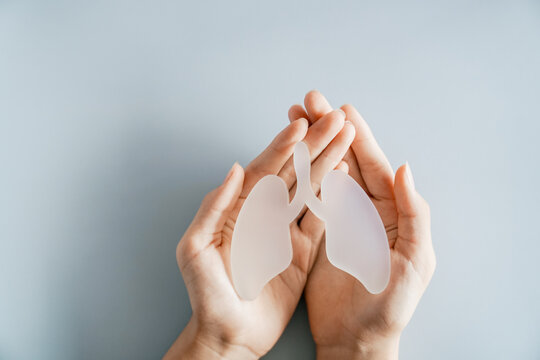 Hands holding lung, world tuberculosis tb day, world no tobacco day, lung cancer, COPD, eco air pollution, organ donation concept.