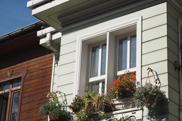 Green house facade with vibrant flower boxes on display