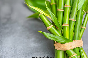 Obraz premium Lush green bamboo stalks tied together, showcasing vibrant leaves and textured nodes. Ideal for spa, wellness, or nature-themed designs.