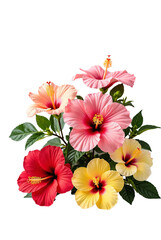 bouquet hibiscus of flowers