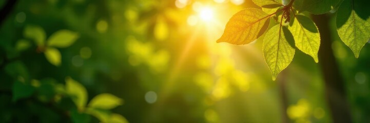 Golden sunlight filters through lush green canopy, soft breeze rustling leaves, canopy, awakening