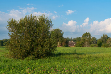 Rustic landscape with a wooden house and meadow near the Trigorskoye estate on a sunny summer day,...