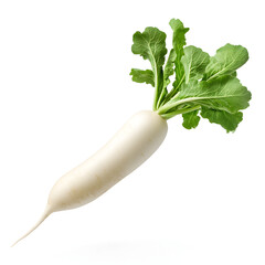 Fresh white radish with green leaves, floating on a white background.