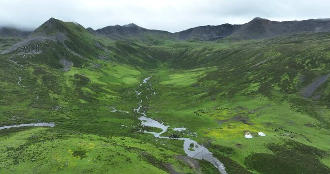Aerial footage of beautiful high altitude grassland and mountain landscape