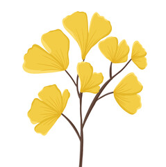 A delicate illustration of golden ginkgo biloba leaves on slender brown branches. The fan-shaped foliage and soft textures create a serene, natural aesthetic, perfect for botanical designs.

