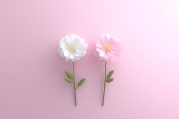 photograph of pink carnations on a pastel pink background, close-up view, flat lay, minimalist style