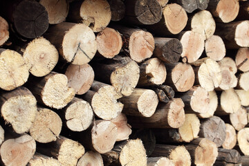 Stacked Logs with Natural Texture and Warm Wood Tones for Nature