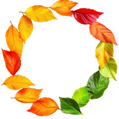 Fototapeta premium Circle of Colorful Autumn Leaves in Gradient Isolated on White Background