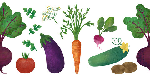 Seamless vegetable border: beetroot, carrot, tomato, potato, eggplant, radish, cucumber, parsley, dill. An element for decorating dishes