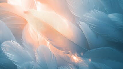 A flurry of abstract white feathers illuminated by soft, glowing edges
