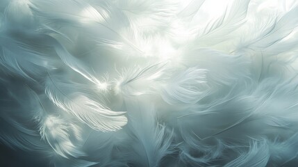 A flurry of abstract white feathers illuminated by soft, glowing edges 