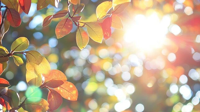 Fall autumn background with colorful leaves and sunflares