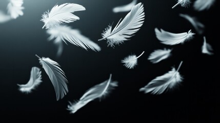 White bird feathers drifting upward against a mysterious dark gradient 
