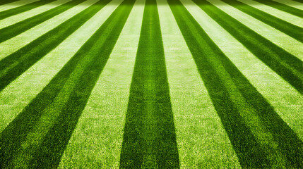Lush green striped lawn, perfect for backgrounds, websites, or advertising.  Striped grass texture.