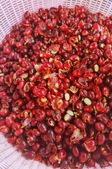 Fresh coffee bean in basket