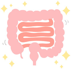 健康な大腸のイラスト　蠕動運動