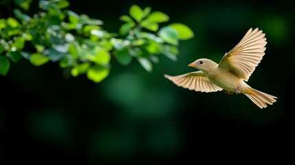 A small bird in flight, surrounded by greenery