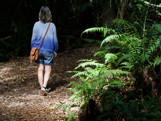 A lady walks in a tropical forest with the sun lighting green ferns as she passes by.She has a bag over her shoulder and has shorts on.