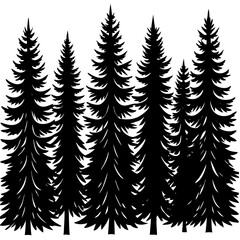 Obraz premium forest of pine silhouettes